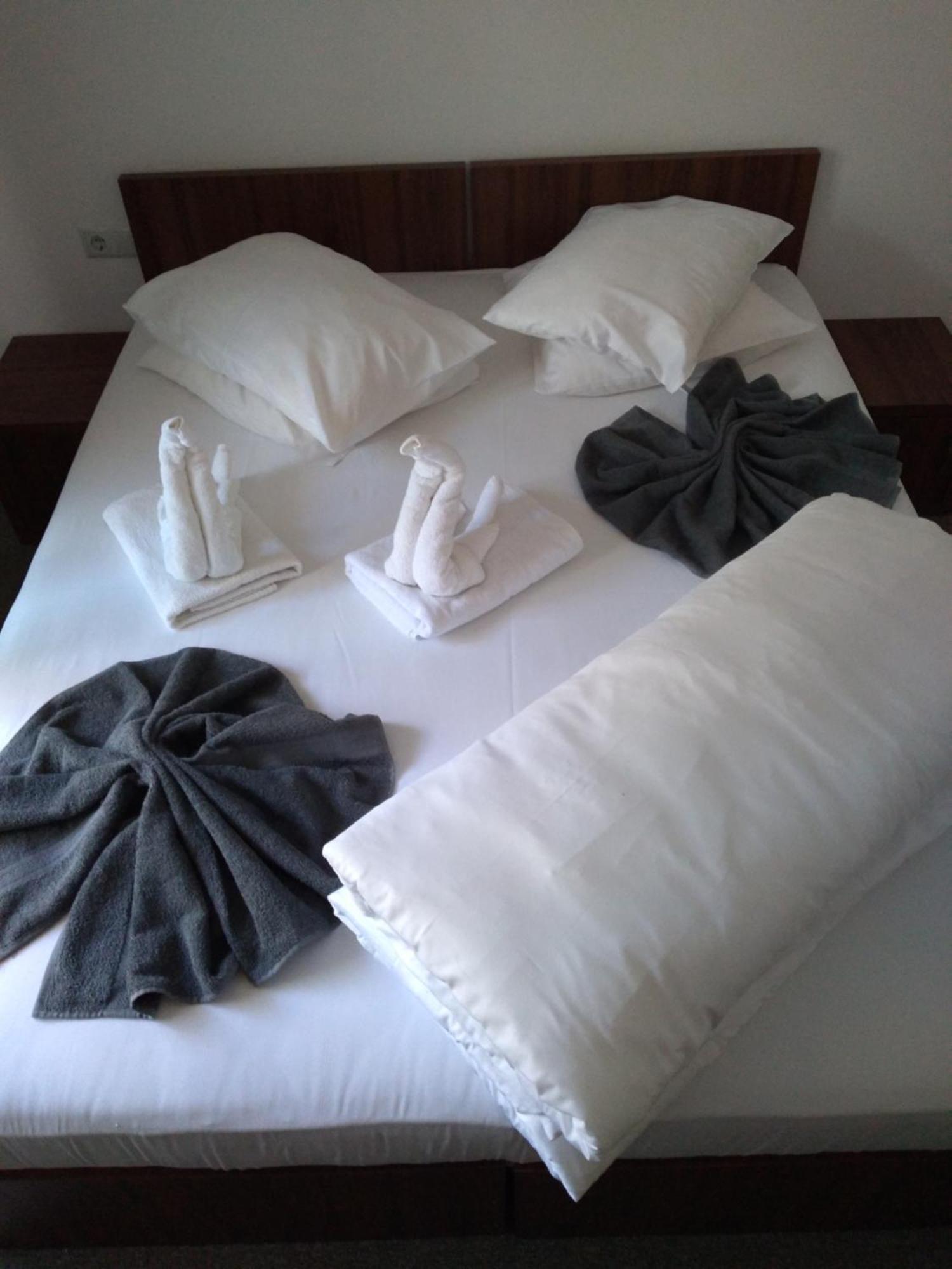 Pensiunea Floare De Colt Băile Herculane Room photo