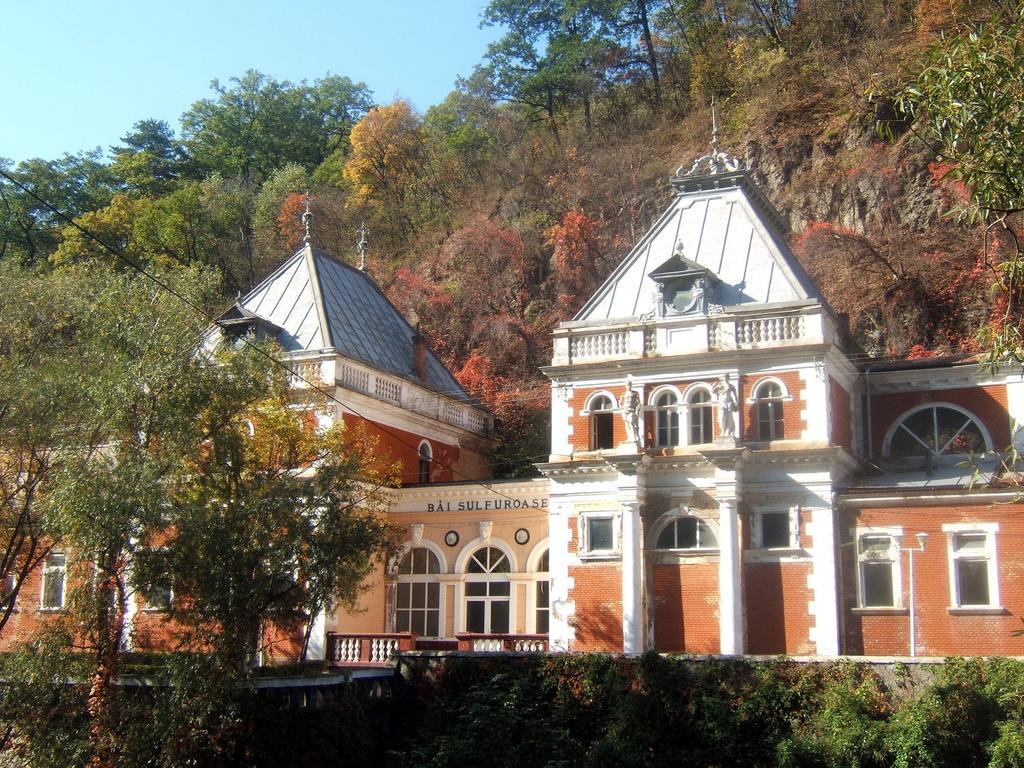 Pensiunea Floare De Colt Băile Herculane Exterior photo